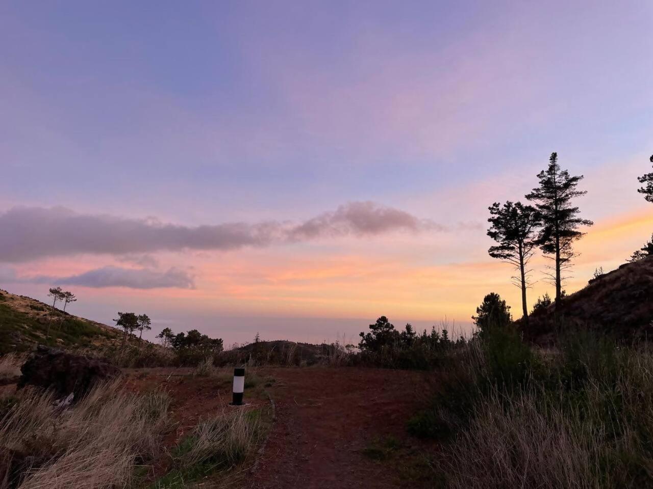 Mountain Eco Shelter 7 Hotel Funchal  Buitenkant foto