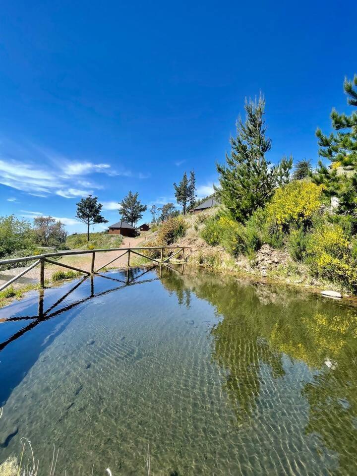 Mountain Eco Shelter 7 Hotel Funchal  Buitenkant foto