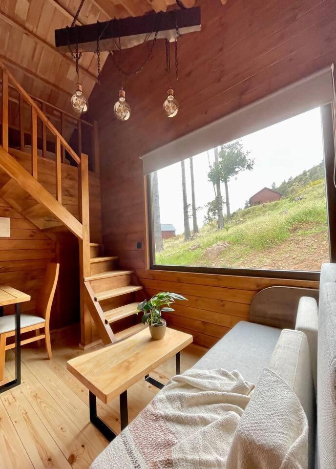 Mountain Eco Shelter 7 Hotel Funchal  Buitenkant foto
