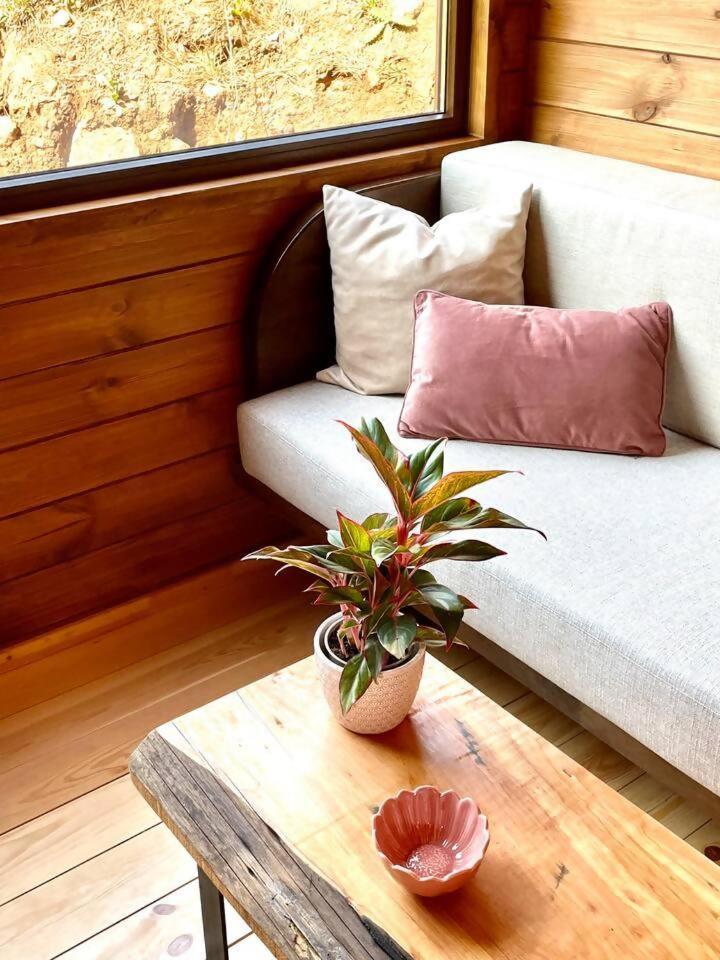 Mountain Eco Shelter 7 Hotel Funchal  Buitenkant foto